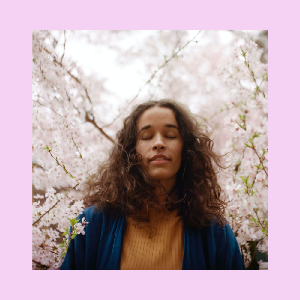 alex rita saffron workshop